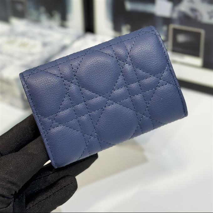 2025228Y 220P18214551